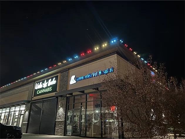 Commercial Lighting​